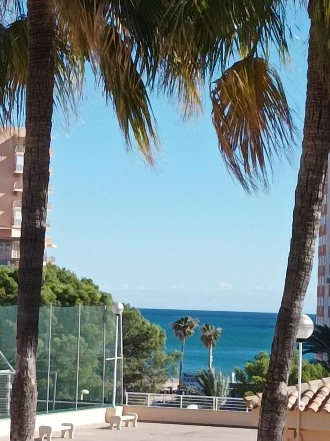 Appartamento Almar Collection Cullera Bahia Park Esterno foto